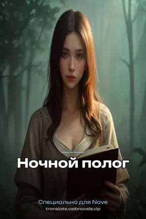 Ночной полог